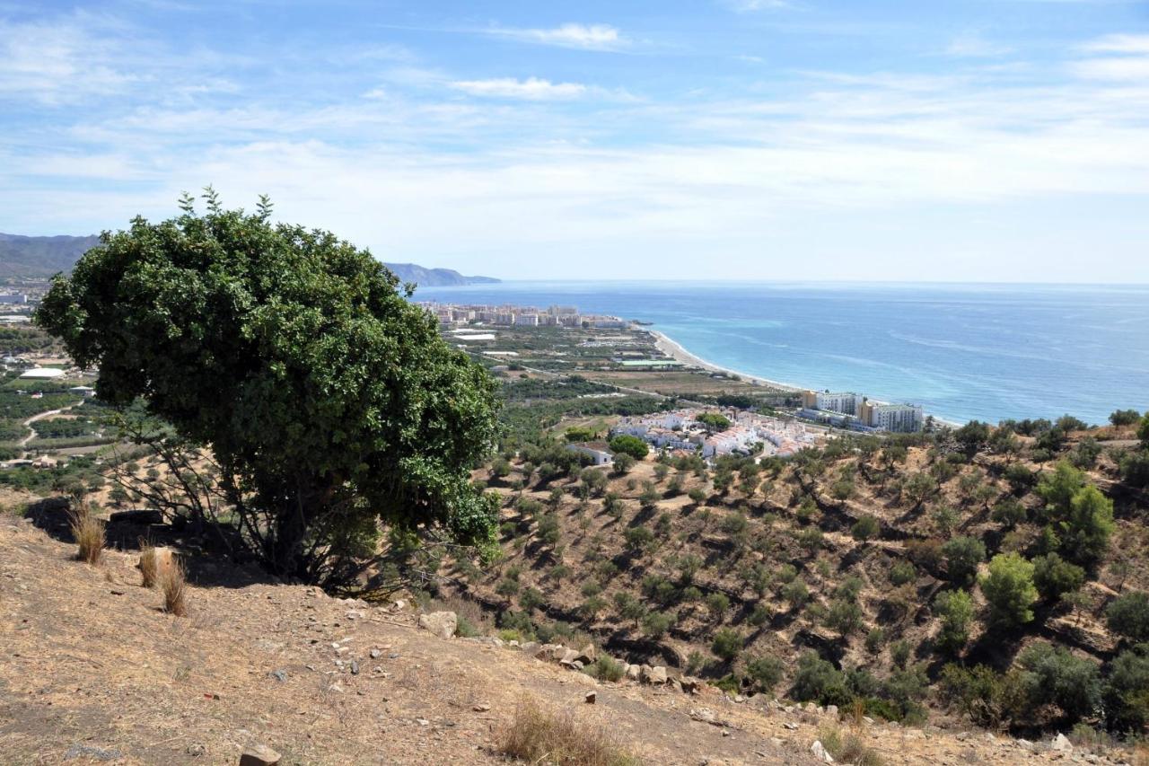 Nerja Paradise Rentals - Villa Los Girasoles Zewnętrze zdjęcie